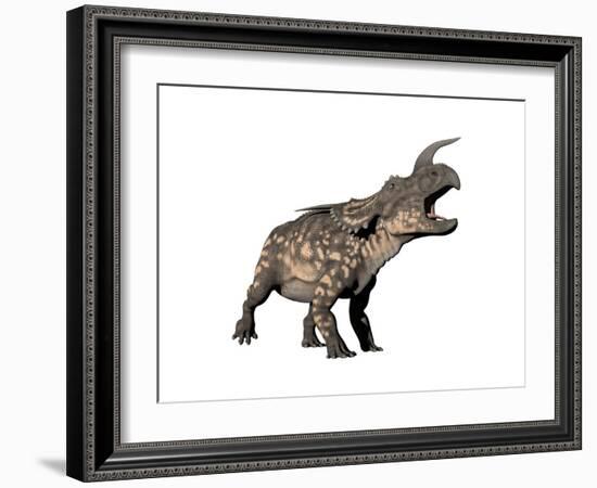 Einiosaurus Dinosaur, White Background-null-Framed Art Print