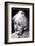 Einstein - Imagination-null-Framed Premium Giclee Print
