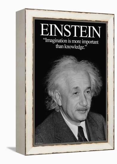 Einstein-Wilbur Pierce-Framed Stretched Canvas