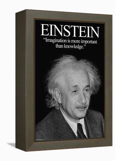 Einstein-Wilbur Pierce-Framed Stretched Canvas