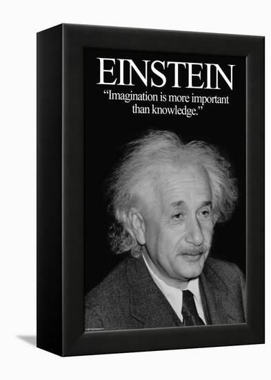 Einstein-Wilbur Pierce-Framed Stretched Canvas