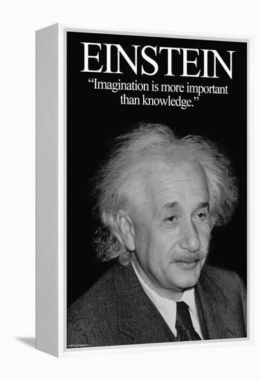 Einstein-Wilbur Pierce-Framed Stretched Canvas