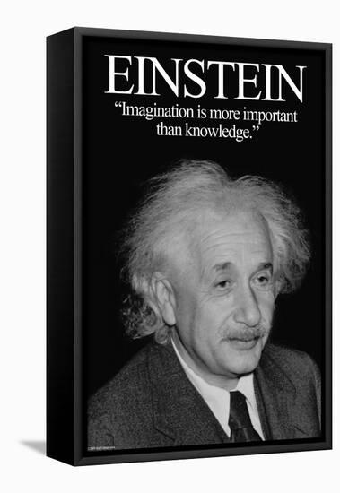 Einstein-Wilbur Pierce-Framed Stretched Canvas