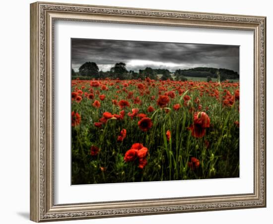 Einu-Tim Kahane-Framed Photographic Print