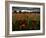 Einu-Tim Kahane-Framed Photographic Print