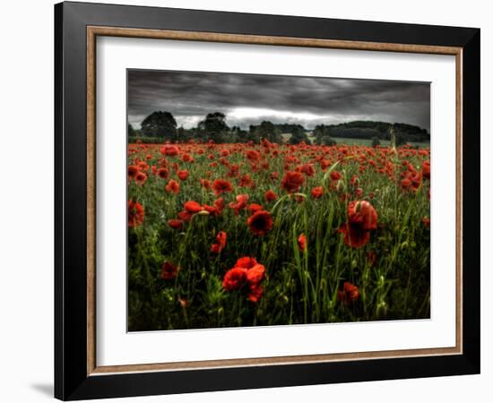 Einu-Tim Kahane-Framed Photographic Print