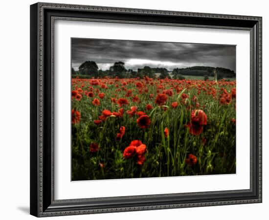 Einu-Tim Kahane-Framed Photographic Print