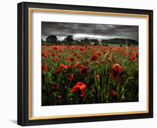 Einu-Tim Kahane-Framed Photographic Print