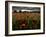 Einu-Tim Kahane-Framed Photographic Print