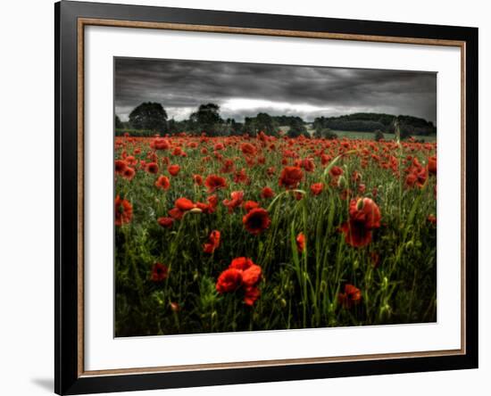 Einu-Tim Kahane-Framed Photographic Print