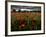 Einu-Tim Kahane-Framed Photographic Print