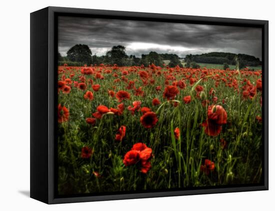 Einu-Tim Kahane-Framed Premier Image Canvas