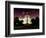 Eisenhower Executive Office Building (Eeob) by Night, West of the White House, Washington D.C, US-Philippe Hugonnard-Framed Photographic Print