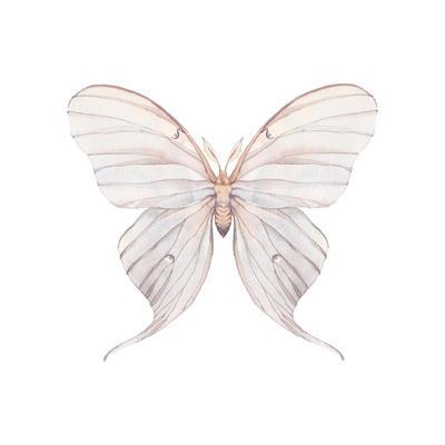 Luna Moth Watercolor Painting Reproduction Green Butterfly Giclee Print