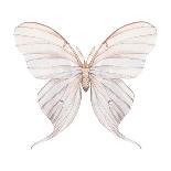 Watercolor Butterfly-Eisfrei-Art Print