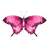 Watercolor Butterfly-Eisfrei-Art Print