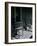 Eisie's Chairs-Alfred Eisenstaedt-Framed Photographic Print