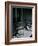 Eisie's Chairs-Alfred Eisenstaedt-Framed Photographic Print