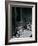 Eisie's Chairs-Alfred Eisenstaedt-Framed Photographic Print