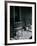 Eisie's Chairs-Alfred Eisenstaedt-Framed Photographic Print