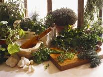 Fresh Herb Still Life-Eising Studio - Food Photo and Video-Mounted Photographic Print