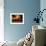 Eita-Craig Satterlee-Framed Photographic Print displayed on a wall