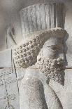 Persepolis Archeological Site, Iran, Western Asia-Eitan Simanor-Photographic Print