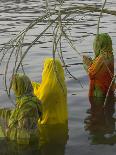 The Sikh Golden Temple Reflected in Pool, Amritsar, Punjab State, India-Eitan Simanor-Photographic Print