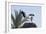 El Badi Palace, Marrakech. 1578. Stork's Nest-Natalie Tepper-Framed Photo