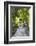 El Bahia Palace Courtyard, Marrakech, Morocco, North Africa, Africa-Matthew Williams-Ellis-Framed Photographic Print