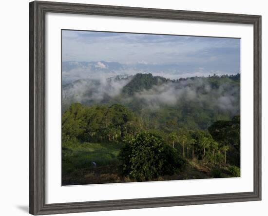 El Caney Plantation and View over Coffee Crops Towards the Andes Mountains, Near Manizales-Ethel Davies-Framed Photographic Print