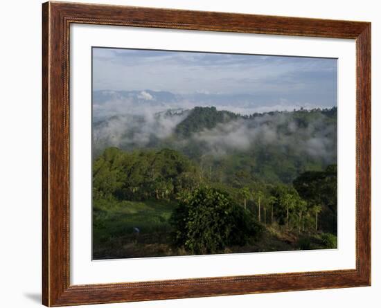 El Caney Plantation and View over Coffee Crops Towards the Andes Mountains, Near Manizales-Ethel Davies-Framed Photographic Print