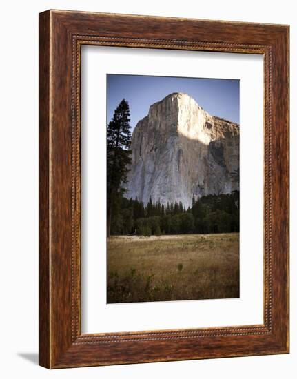 El Cap as Seen from the Valley Floor of Yosemite National Park, California-Dan Holz-Framed Photographic Print