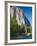 El Capitan and Merced River. Yosemite National Park, CA-Jamie & Judy Wild-Framed Photographic Print