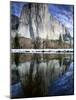 El Capitan and Merced River-Darrell Gulin-Mounted Photographic Print