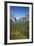 El Capitan, Half Dome, and Bridalveil Fall, Yosemite NP, California-David Wall-Framed Photographic Print