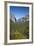 El Capitan, Half Dome, and Bridalveil Fall, Yosemite NP, California-David Wall-Framed Photographic Print