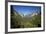 El Capitan, Half Dome, and Bridalveil Fall, Yosemite NP, California-David Wall-Framed Photographic Print