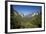 El Capitan, Half Dome, and Bridalveil Fall, Yosemite NP, California-David Wall-Framed Photographic Print