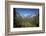 El Capitan, Half Dome, and Bridalveil Fall, Yosemite NP, California-David Wall-Framed Photographic Print