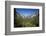 El Capitan, Half Dome, and Bridalveil Fall, Yosemite NP, California-David Wall-Framed Photographic Print