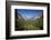 El Capitan, Half Dome, and Bridalveil Fall, Yosemite NP, California-David Wall-Framed Photographic Print