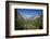 El Capitan, Half Dome, and Bridalveil Fall, Yosemite NP, California-David Wall-Framed Photographic Print