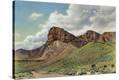 Stretched Canvas Print