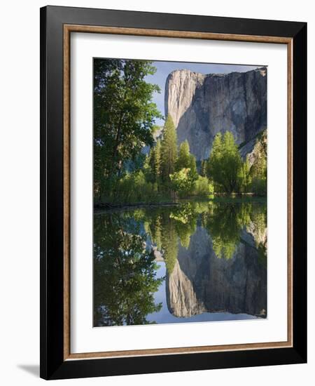 El Capitan reflected in Merced River. Yosemite National Park, CA-Jamie & Judy Wild-Framed Photographic Print