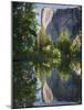 El Capitan reflected in Merced River. Yosemite National Park, CA-Jamie & Judy Wild-Mounted Photographic Print