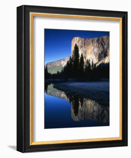 El Capitan Reflected in Merced River, Yosemite National Park, California, USA-Adam Jones-Framed Photographic Print