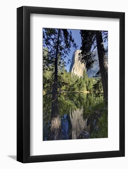 El Capitan reflected on Merced River, Yosemite National Park, California-Adam Jones-Framed Photographic Print