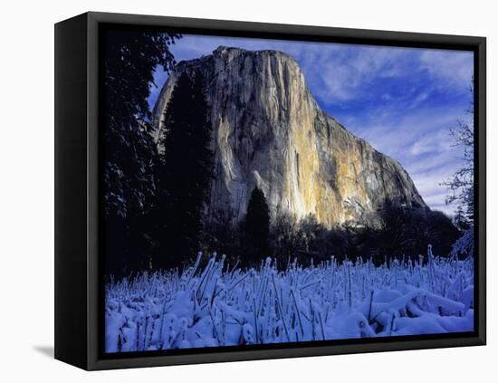 El Capitan, Yosemite National Park, California, USA-Scott Smith-Framed Premier Image Canvas