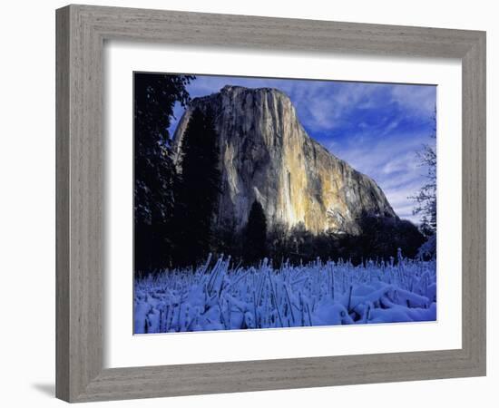 El Capitan, Yosemite National Park, California, USA-Scott Smith-Framed Photographic Print